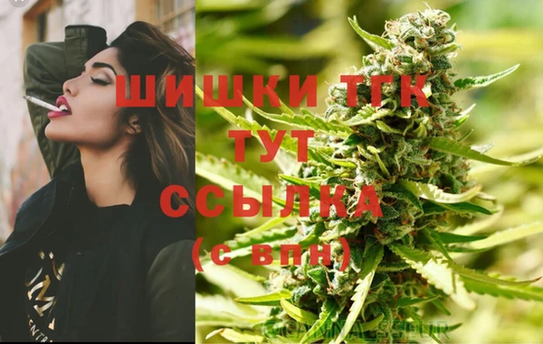 тгк Богородск