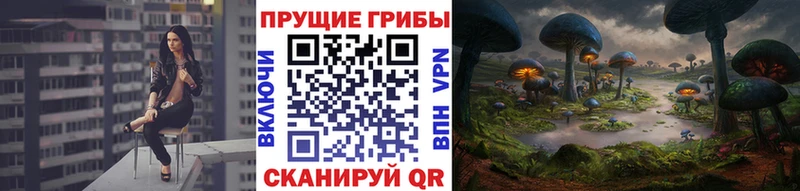 Галлюциногенные грибы Cubensis  Гулькевичи 