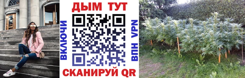 Шишки марихуана Ganja  Гулькевичи 